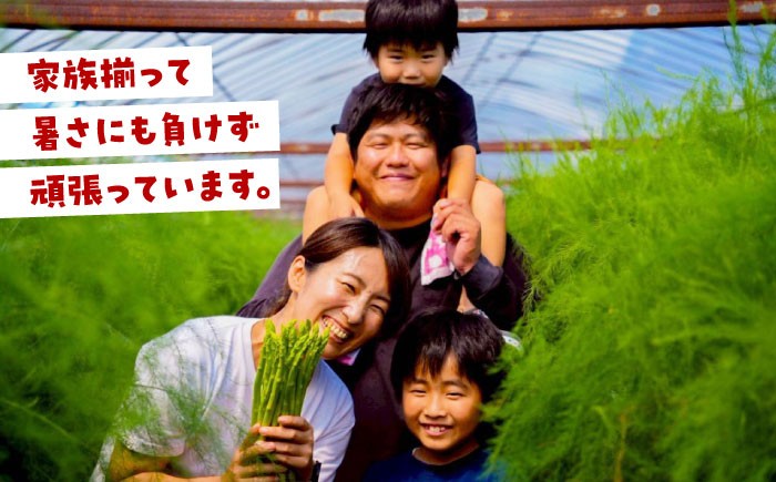  MOTTAINAI アスパラ 1kg [HDE003] アスパラガス 訳あり ワケアリ 野菜 あすぱら あすぱらがす 1キロ