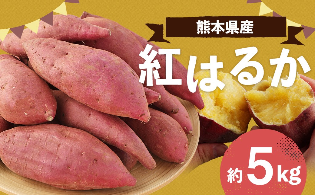 熊本県産 紅はるか 約5kg