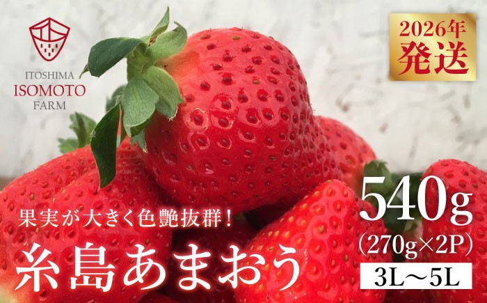 あまおう 果物 フルーツ ストロベリー グルメ パフェ ケーキ パンケーキ