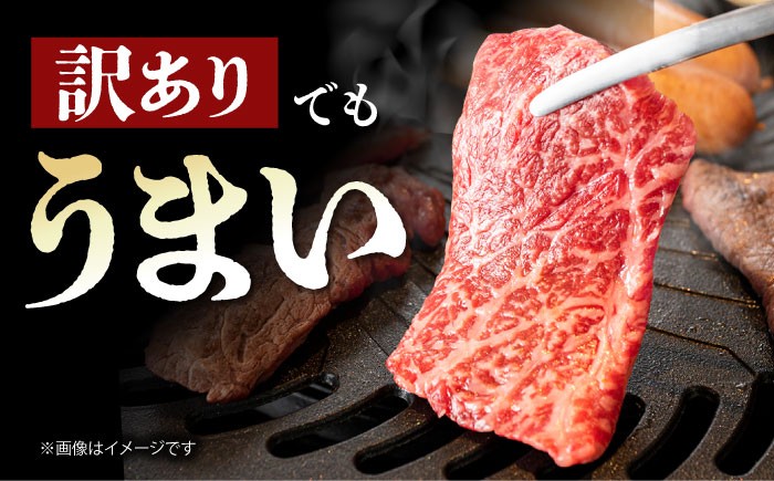 佐賀牛 焼肉 セット 1kg【山下牛舎】 [HAD148] 佐賀牛 牛肉 肉 精肉 赤身 ロース バラ 焼肉用 不揃い カット