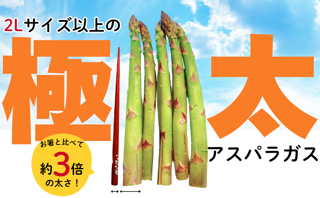 早朝に収穫したアスパラガスをその日のうちに発送、農家直送でお届けします！