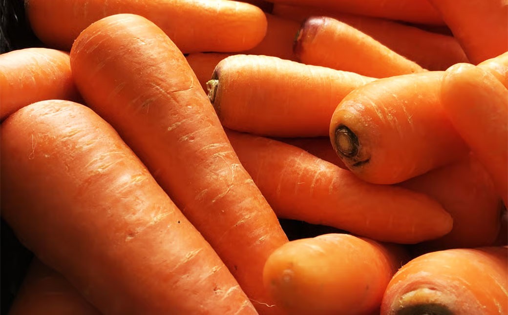 完熟冬にんじんジュース 720ml×6本