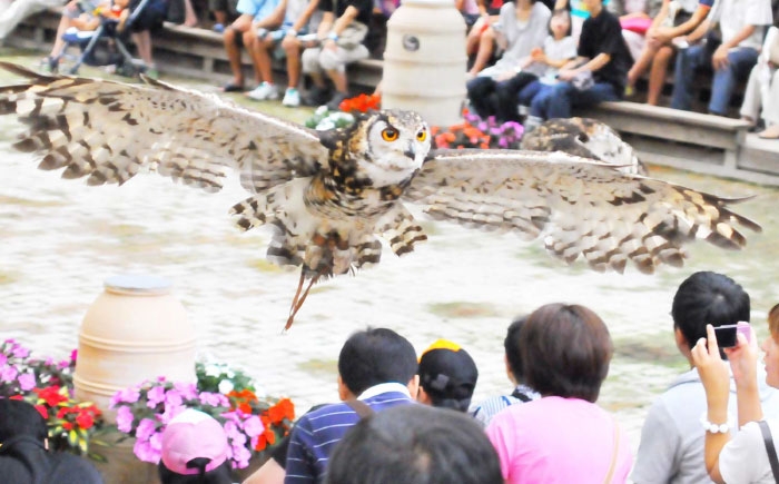 フォーゲルパーク 花 鳥 楽園 宍道湖 湖畔 パーク ベゴニア フクシア 鳥の温室 フクロウ ペンギン  松江 テーマパーク