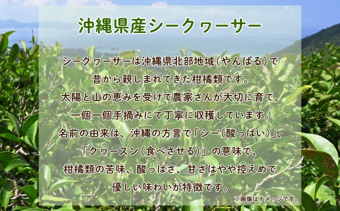 沖縄 シークヮサーパウダー 2袋セット 1袋160g (約20杯分) | 沖縄ウコン堂 国産製造 沖縄県産