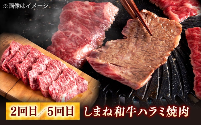 しまね和牛 牛肉 肉 焼肉 焼き肉 和牛 黒毛和牛 国産牛 タン塩 ハラミ 牛しゃぶ すき焼き しゃぶしゃぶ 定期便
