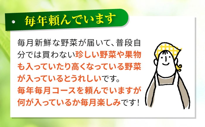 野菜 フルーツ 果物 定期便 旬 新鮮 詰合せ 野菜セット フルーツ定期便 