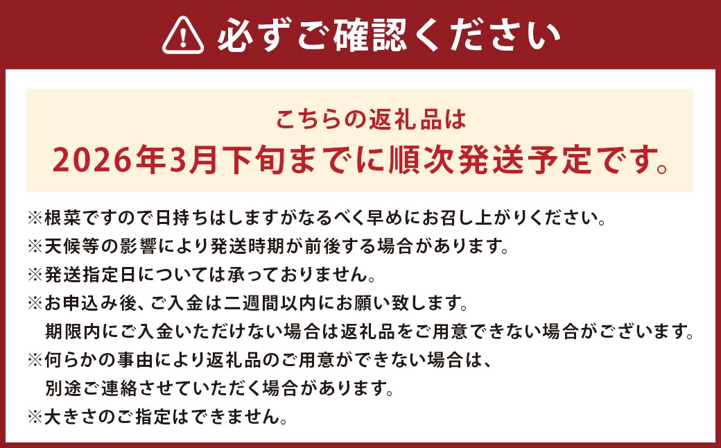熊本県産 紅はるか 約5kg