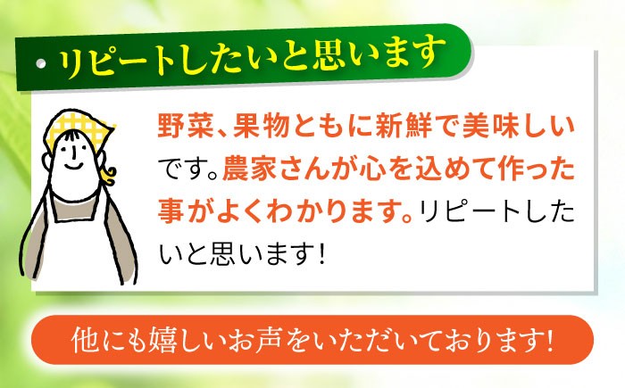 野菜 やさい 果物 くだもの フルーツ ふるーつ 産地直送 フルーツ定期便