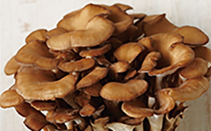 島根 しまね 松江 まつえ 高保湿 温泉 化粧水 玉造 玉造温泉 美肌 スキンケア