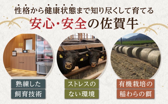 佐賀牛 焼肉 セット 1kg【山下牛舎】 [HAD148] 佐賀牛 牛肉 肉 精肉 赤身 ロース バラ 焼肉用 不揃い カット