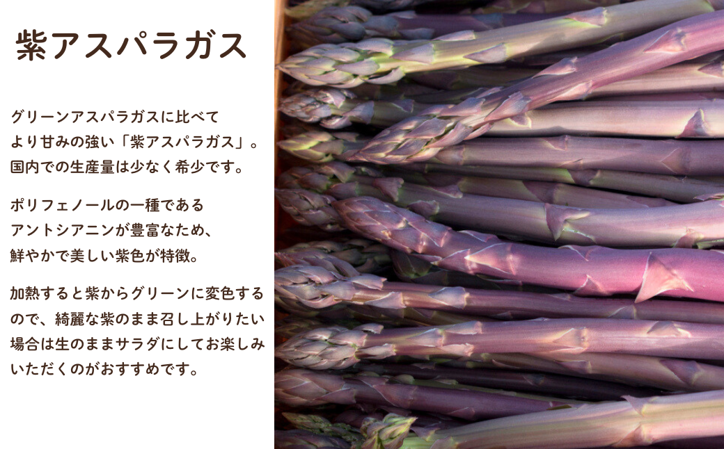 より甘さのある、希少な紫アスパラガスも一緒にお届けします