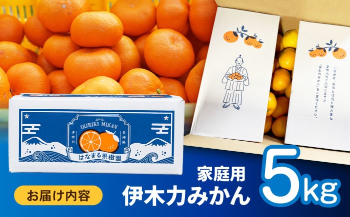 伊木力みかん 家庭用みかん 5kg みかん ミカン 蜜柑 フルーツ 果物