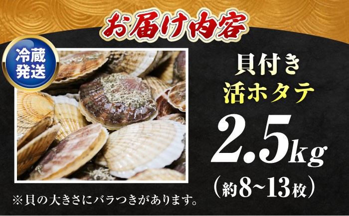 ほたて 活ホタテ 帆立 訳あり 海鮮 北海道