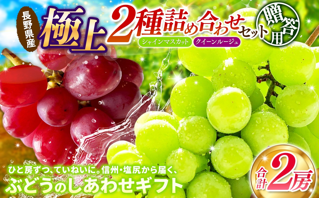 葡萄2種を一房づつお届けいたします。