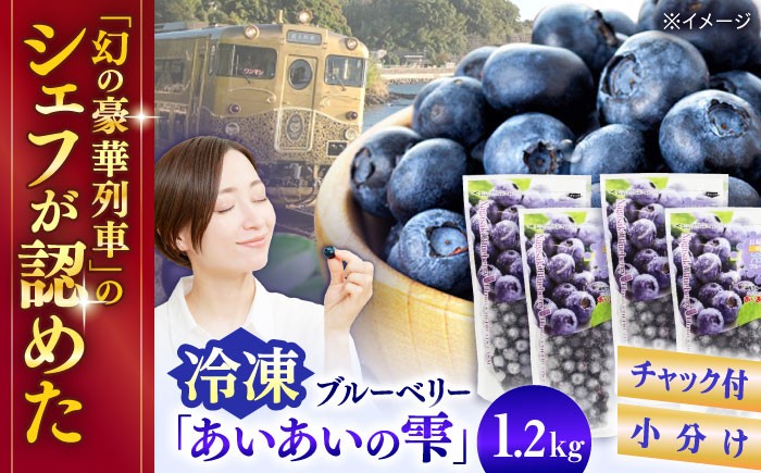 冷凍ブルーベリー 計1.2kg ブルーベリー ベリー あいあいの雫 ベリー