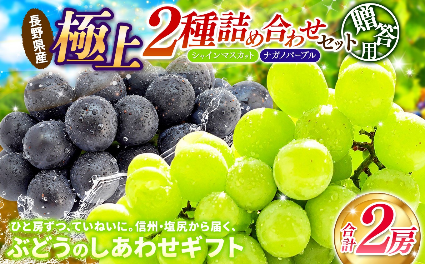 葡萄2種を一房づつお届けいたします。