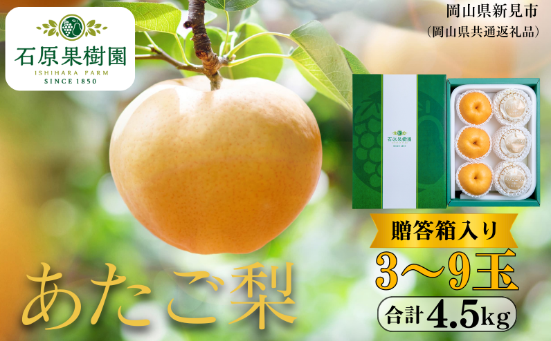 季節の味覚をお楽しみください。