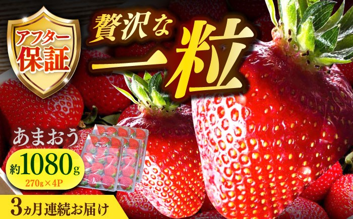 苺専用パッケージに包装し可能な限り鮮度を保った状態で定期便に