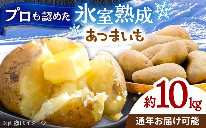 じゃがいも ジャガイモ メークイン 芋 野菜 北海道 