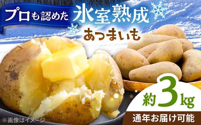 じゃがいも ジャガイモ メークイン 芋 野菜 北海道 