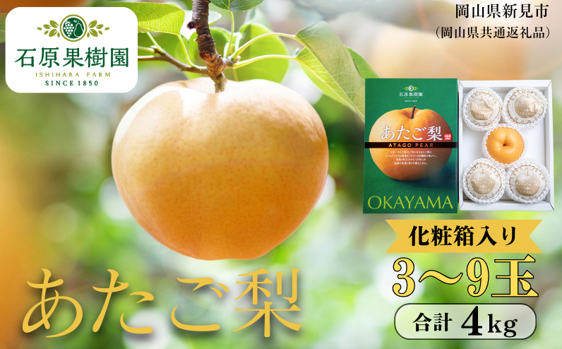 季節の味覚をお楽しみください。