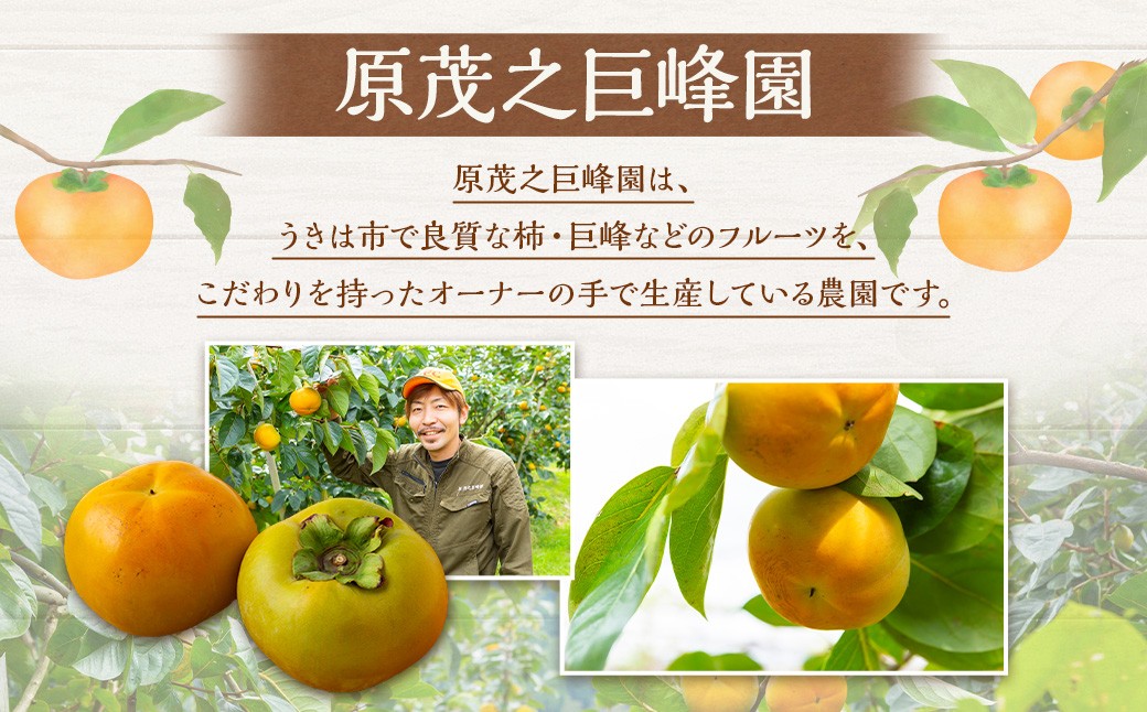 原茂之巨峰園 太秋柿のドライフルーツ (45g×5袋)