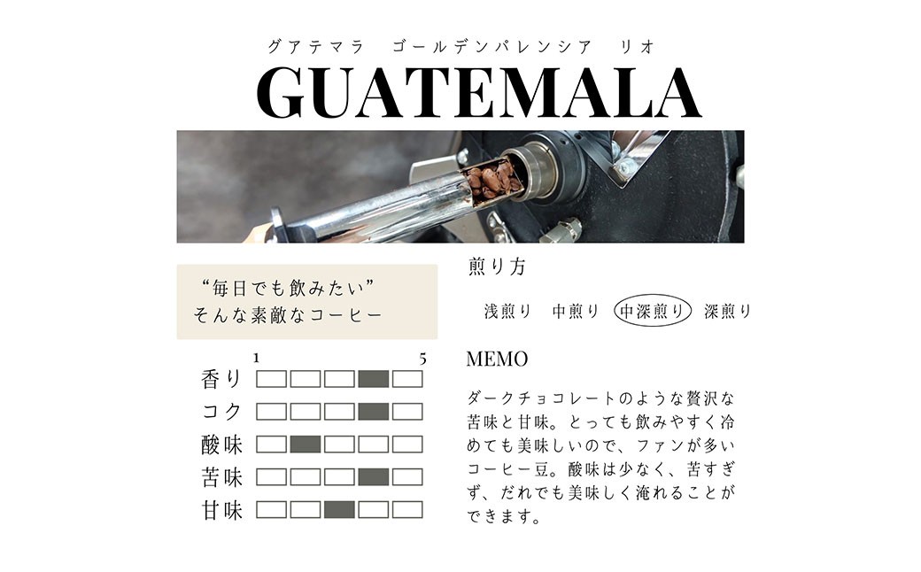 グアテマラ ゴールデンパレンシア リオ ウォッシュド ( 中深煎り ) 400g (200g×2) コーヒー 珈琲