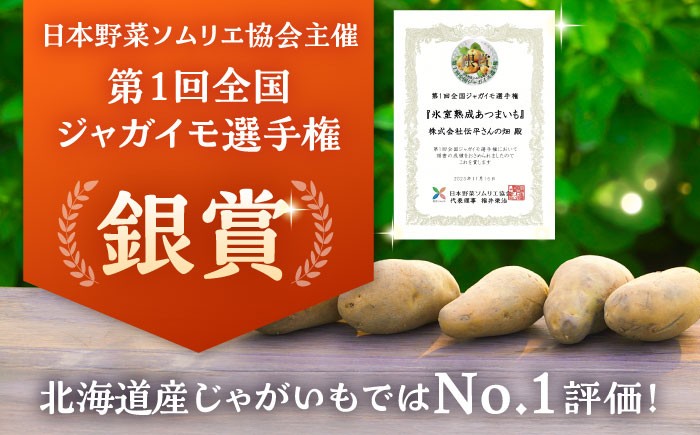 じゃがいも ジャガイモ メークイン 芋 野菜 北海道 