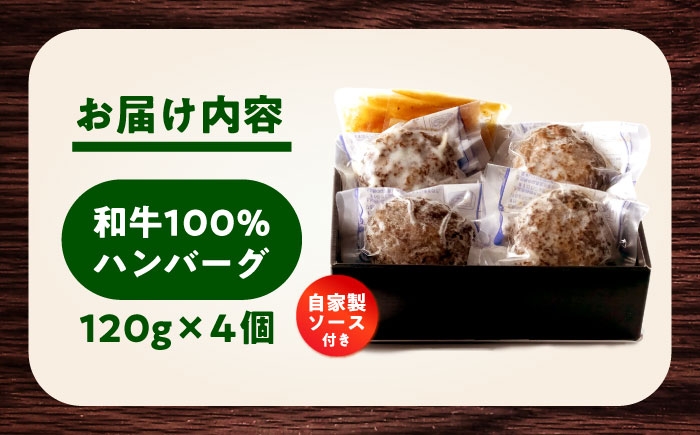 ハンバーグ はんばーぐ hannba-gu hamburg 国産はんばーぐ 小分け 個包装 