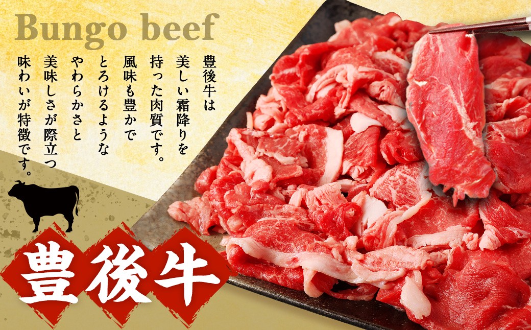 【6ヶ月定期便】交互に届く 九重 夢ポーク ・ 豊後牛 切り落とし 6回 合計約10.8kg 定期便