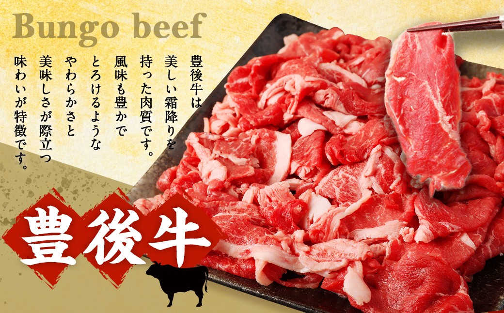 大分県産 ブランド牛 ・ 豚 豊後牛 × 九重夢 ポーク 切り落とし 1.35kg セット