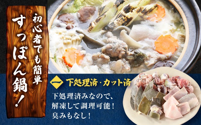すっぽん鍋 スッポン 鍋セット なべ  コラーゲン セット 珍味 お 鍋