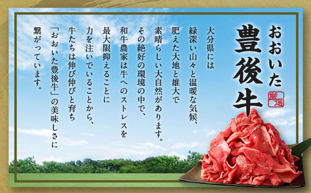 豊後牛 切り落とし 合計約1.6kg (約400g×4パック) 牛肉 国産 大分県産