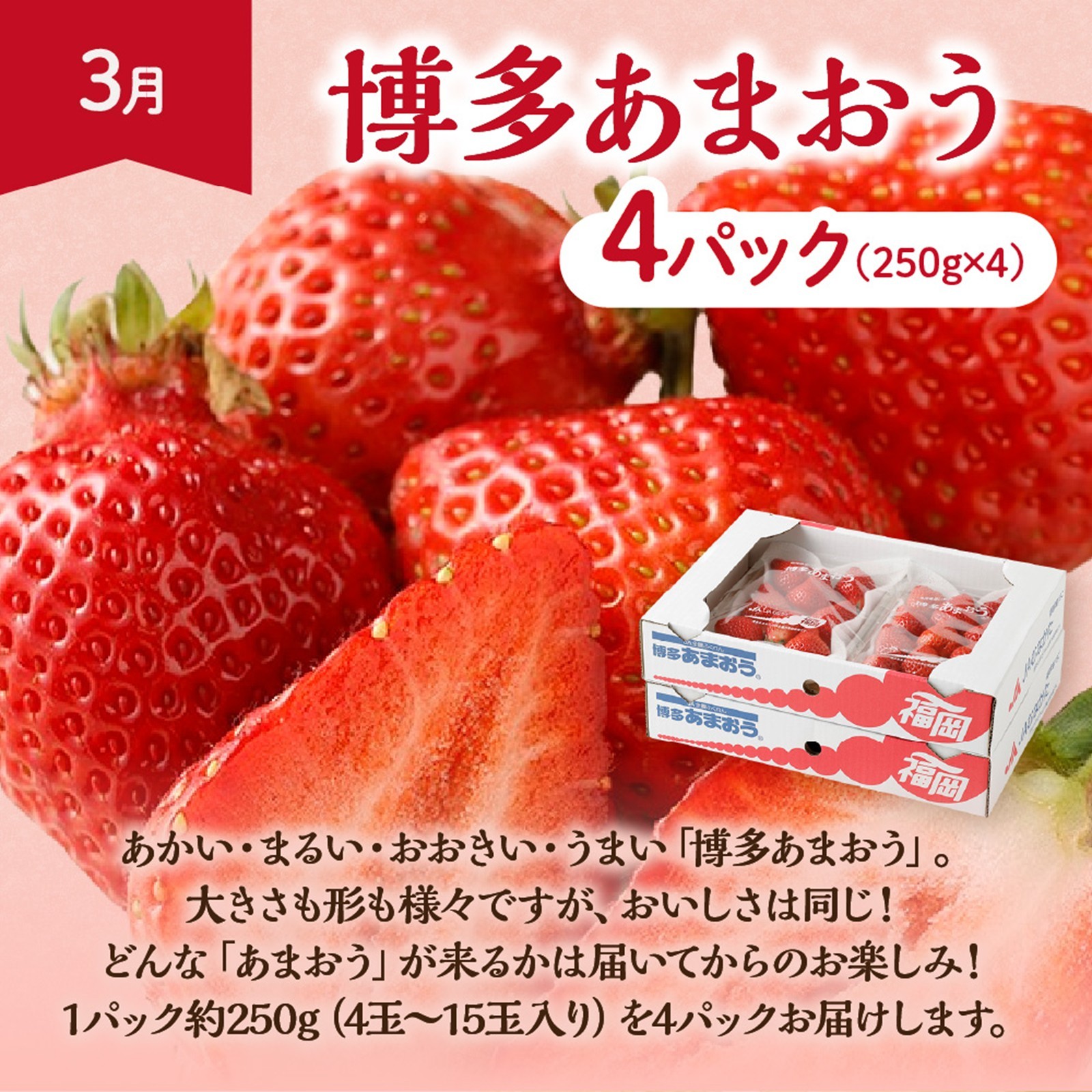 【定期便/年４回】旬の福岡フルーツ定期便