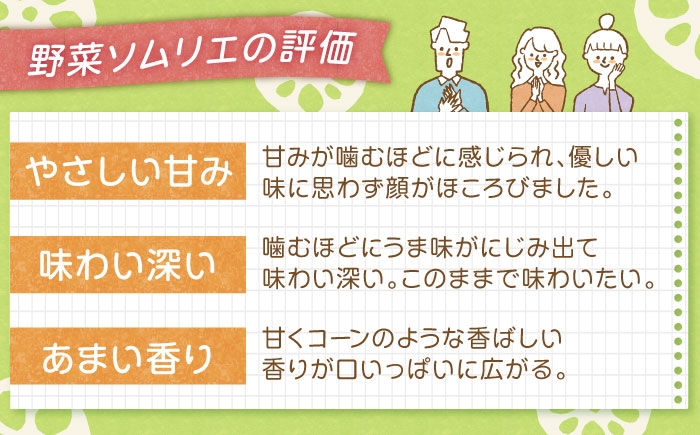 れんこん 蓮根 レンコン 泥付きれんこん 泥付き 佐賀県 白石町 きんぴら 煮物