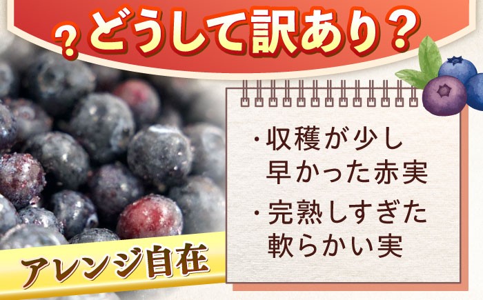 【訳あり】冷凍 ブルーベリー 計1kg 果物 ブルーベリー フルーツ 小分け 冷凍 ブルーベリー 大粒 ぶるーべりー 国産