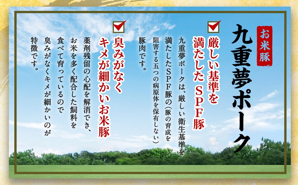 大分県産 ブランド牛 ・ 豚 豊後牛 × 九重夢 ポーク 切り落とし 1.35kg セット