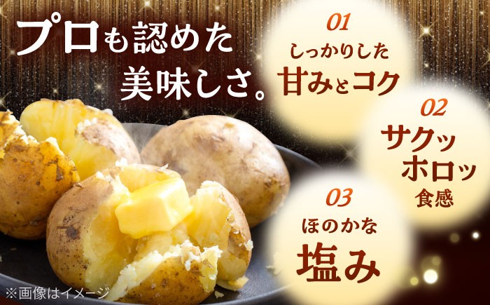 じゃがいも ジャガイモ メークイン 芋 野菜 北海道 