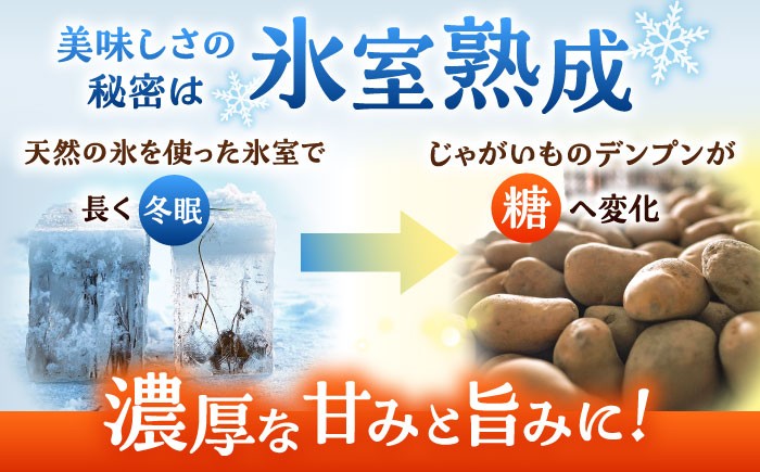 じゃがいも ジャガイモ メークイン 芋 野菜 北海道 