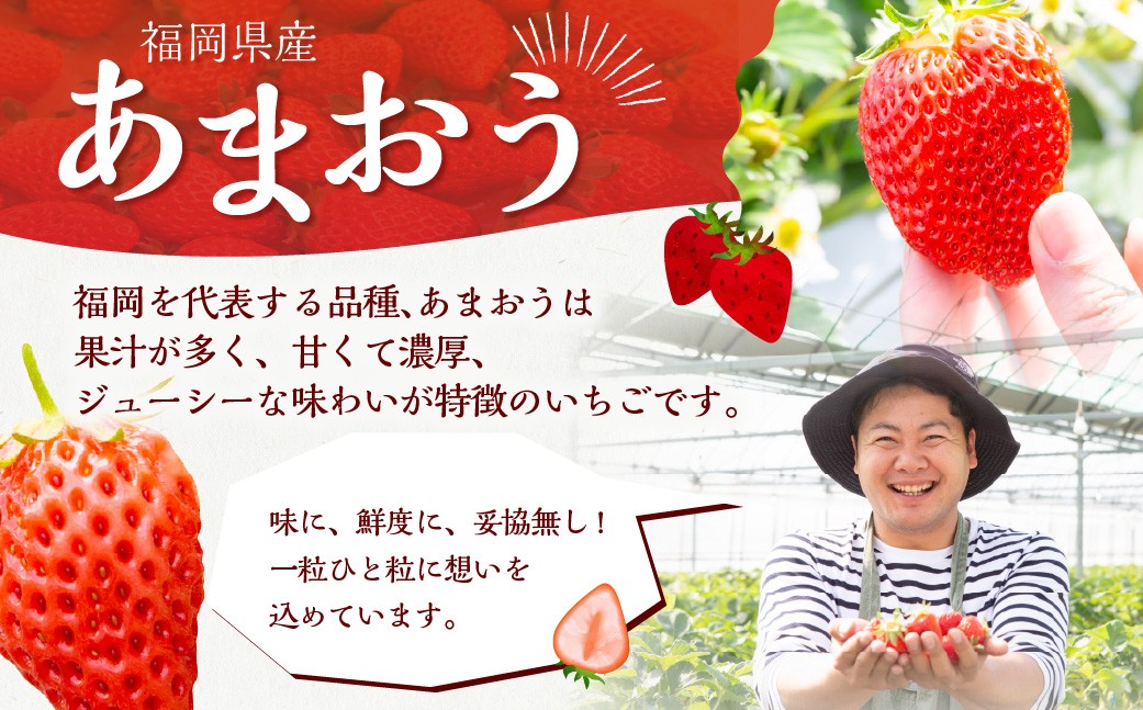 よかもんいちごの朝採りあまおういちご 2kg