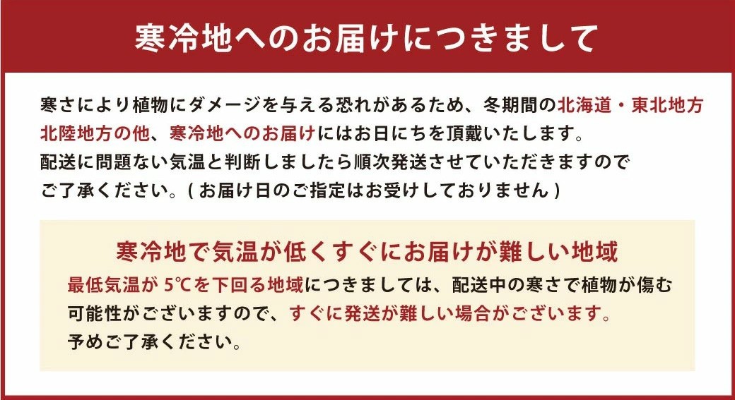オーガスタ7号陶器スリム 白 鉢 インテリア 観葉植物 草花 樹木 ギフト