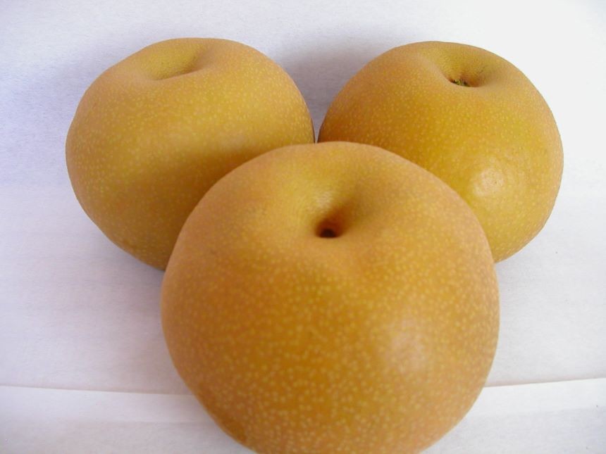 信州長野県産　超甘い 南水梨をお届けします