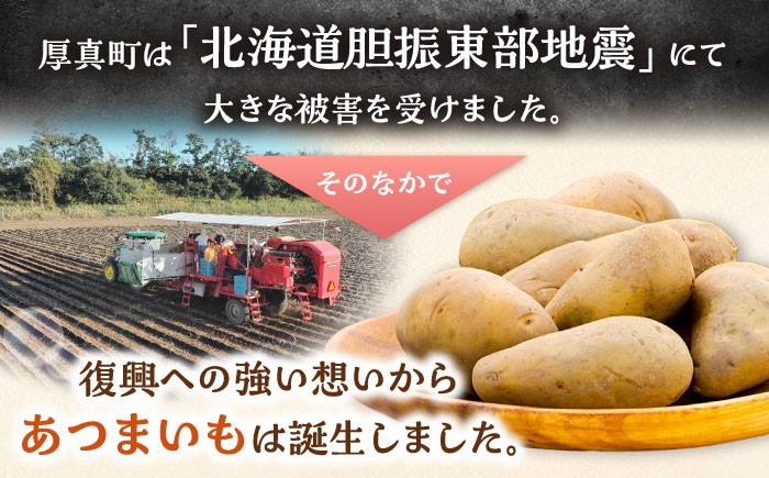 じゃがいも ジャガイモ メークイン 芋 野菜 北海道 