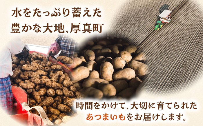 じゃがいも ジャガイモ メークイン 芋 野菜 北海道 