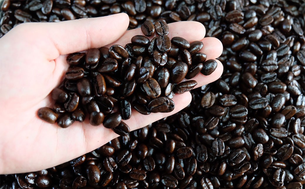 エチオピア イルカチャフィベレカG1 ウォッシュド ( 浅煎り ) 400g(200g×2) コーヒー 珈琲