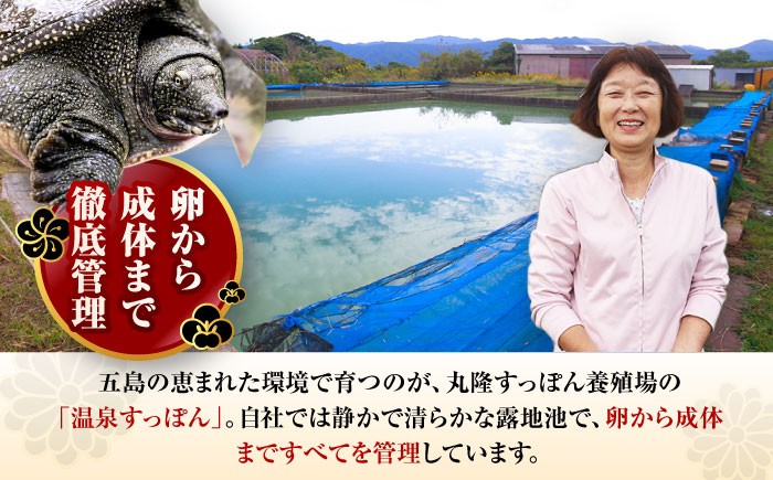 すっぽん鍋 スッポン 鍋セット なべ  コラーゲン セット 珍味 お 鍋