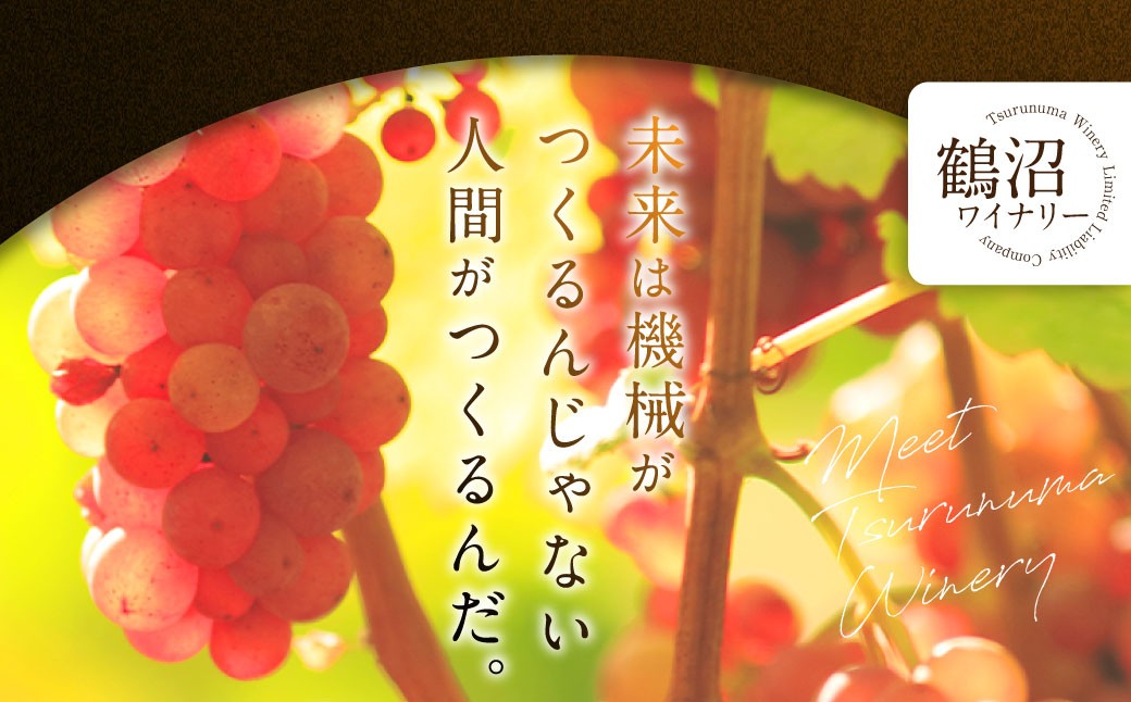 【 3回 定期便 】 鶴沼ワイナリー 厳選 セレクト ワイン 3種 （赤・白・オレンジ） 計3回 毎月1本お届け