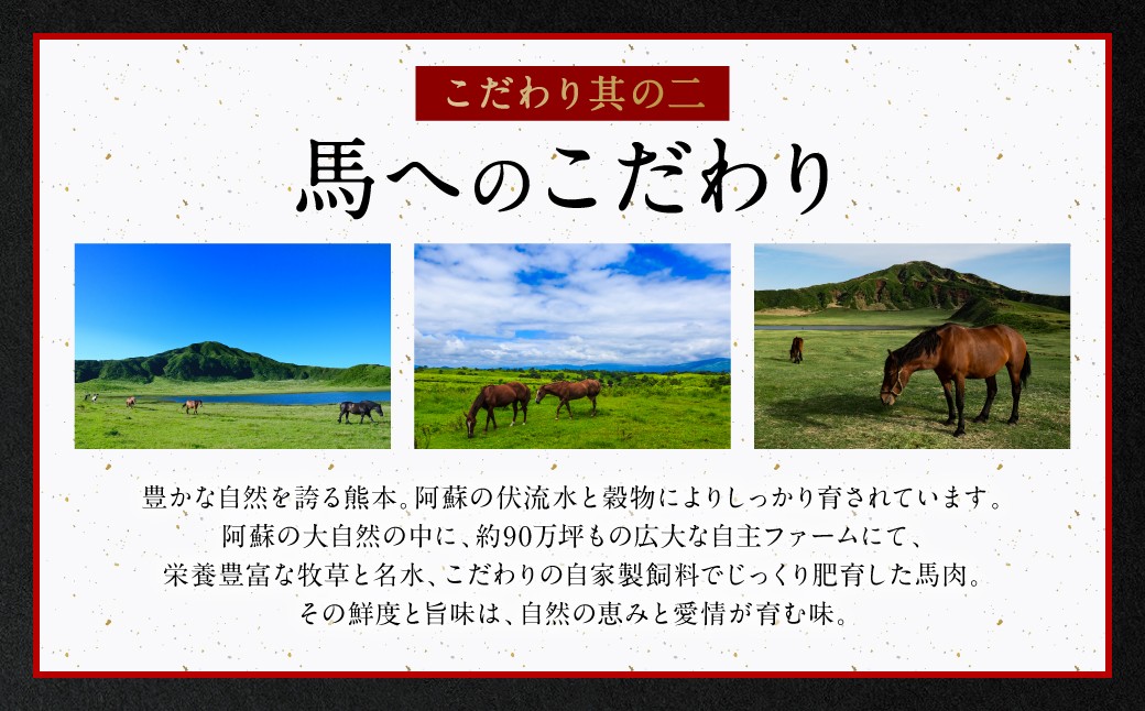 こだわり其の二：馬へのこだわり
