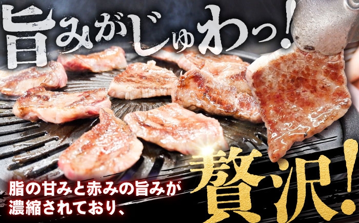 牛肉 肉 和牛 しまね和牛 ザブトン リブロース 焼肉 黒毛和牛 国産牛 