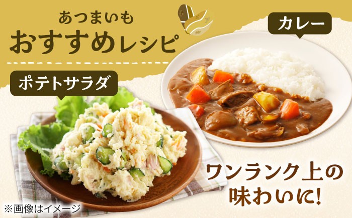 じゃがいも ジャガイモ メークイン 芋 野菜 北海道 